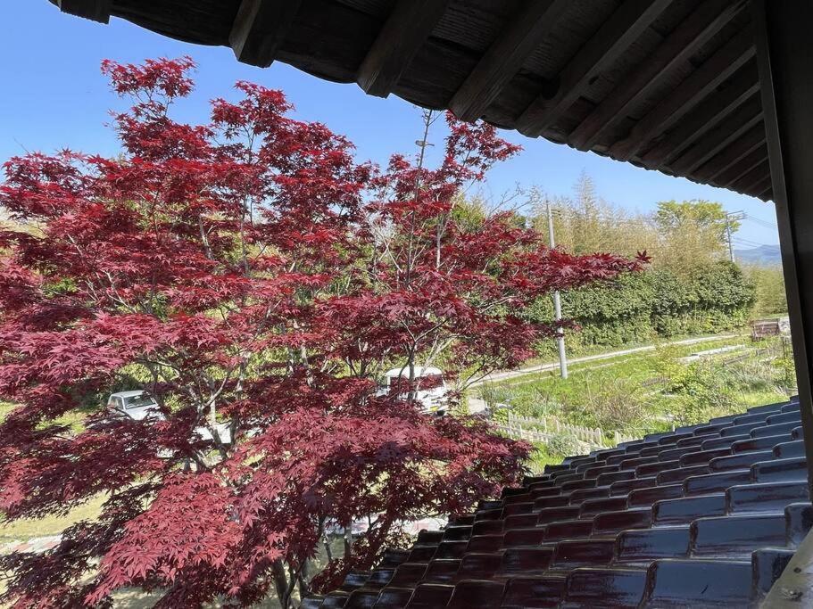 ガーデンハウス道楽亭 Villa Sado Exteriör bild